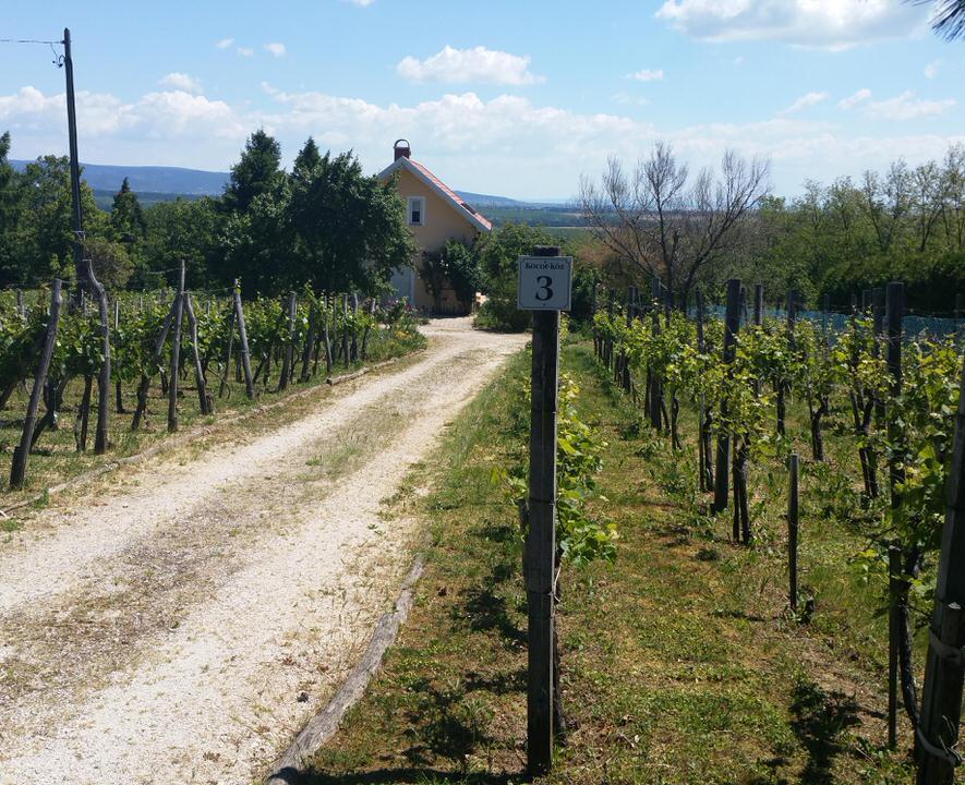 Immobilienmakler Ungarn Balaton