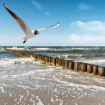 Hotelrenovierung: REBA IMMOBILIEN AG übernimmt Auftrag zur Hotelmodernisierung an der Ostsee