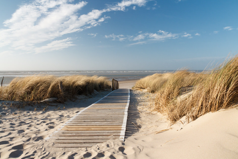 Neubau: Ferienpark & Ferienresort Schweden Insel Gotland