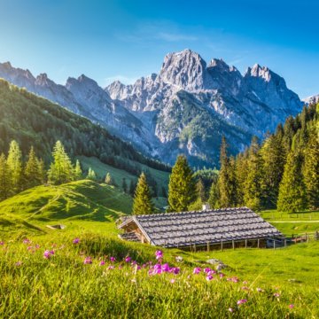 Hotelmakler und Immobilienmakler REBA IMMOBILIEN AG jetzt auch in Österreich