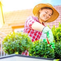 Gartenmarkt Immobilien: Gartenmärkte & Gartencenter Immobilienmakler