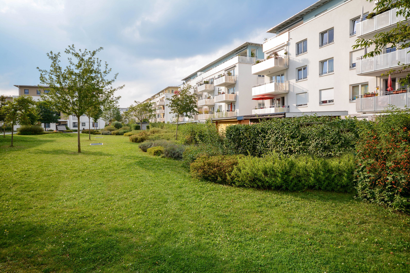 Ankaufsmandat für Multi Family Office aus Heidelberg